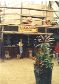 Jungle-Bar1